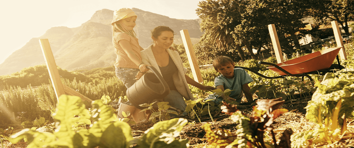 Gerät: Lebensmittel Schnell Test